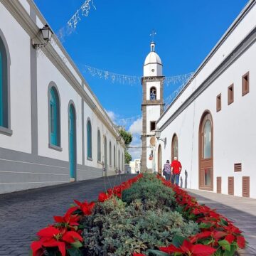 Arrecife se viste de Navidad con 12.000 flores de Pascua