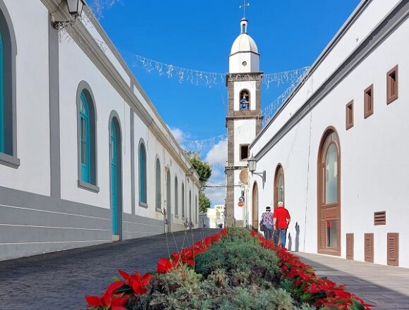 El entorno de la iglesia patronal de Arrecife luce en sus zonas verdes flores de Pascua Arrecife se viste de Navidad con 12.000 flores de Pascua