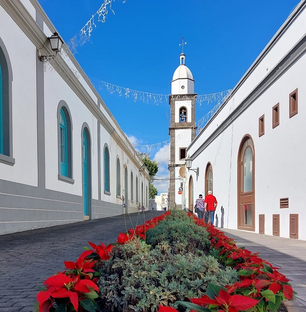 El entorno de la iglesia patronal de Arrecife luce en sus zonas verdes flores de Pascua Arrecife se viste de Navidad con 12.000 flores de Pascua