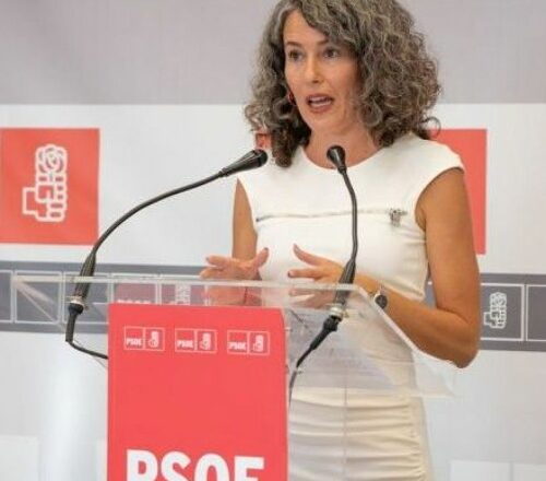 El PSOE pide que el Cabildo implante una ecotasa para Lanzarote y La Graciosa