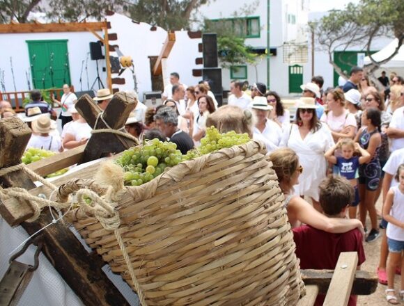 vendimia tinajo Tinajo celebra las Fiestas de San Roque del 9 al 17 de agosto