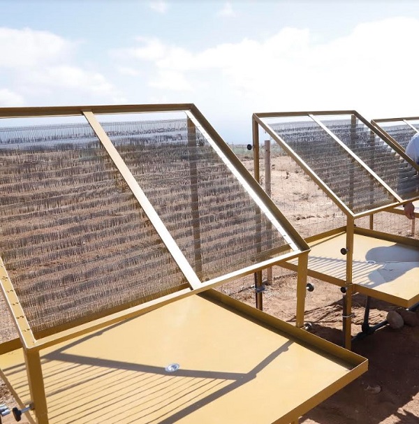 niebla captadores de bruma agua Lanzarote retorna al proyecto de captar agua a través de la niebla