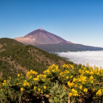 teide Canarias tendrá que revisar sus planes de emergencia volcánica tras elevar el BOE al 77,69% la probabilidad de una erupción en 50 años