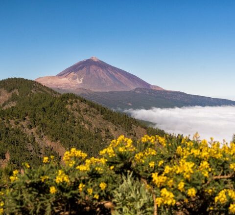 Canarias tendrá que revisar sus planes de emergencia volcánica tras elevar el BOE al 77,69% la probabilidad de una erupción en 50 años
