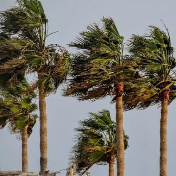 viento El Consorcio recomienda la suspensión de actividades escolares y extraescolares al aire libre hasta las 21:00 horas de este sábado