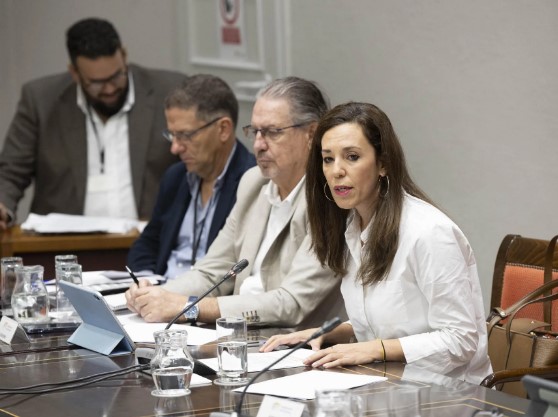 jessica de leon turismo canarias De León defiende que el turismo genera el 86 % del empleo y llama a diversificar el modelo