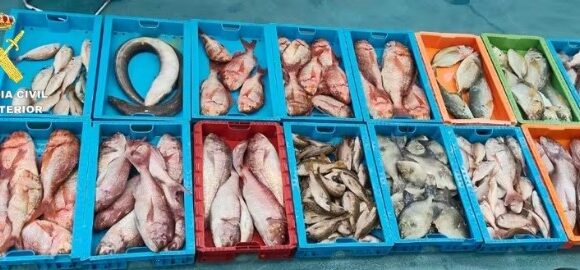 PESCA ILEGAL LA GRACIOSA APR26 GUARDIA CIVIL La Guardia Civil interviene 230 kilos de pescado procedentes de la Reserva Marina de La Graciosa
