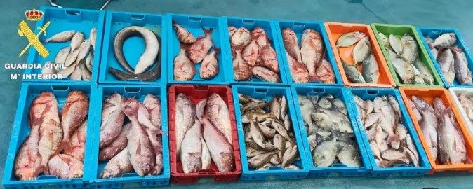 PESCA ILEGAL LA GRACIOSA APR26 GUARDIA CIVIL La Guardia Civil interviene 230 kilos de pescado procedentes de la Reserva Marina de La Graciosa