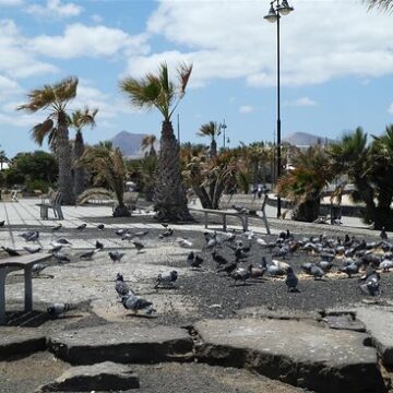 arrecife parque tematico Diez millones de euros para transformar el Parque Temático de Arrecife
